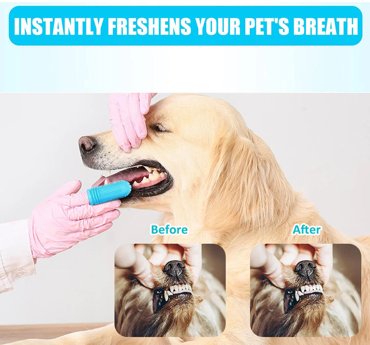 4 Pack Dog Toothbrush for Dog Teeth Cleaning, Dog Finger Toothbrush, Full Surround Bristles, 360ºdog Fingerbrush Toothbrush, Dog Tooth Brushing Kit, Cat Toothbrush, Dental Care for Puppies, Cats - Nutty Deals!