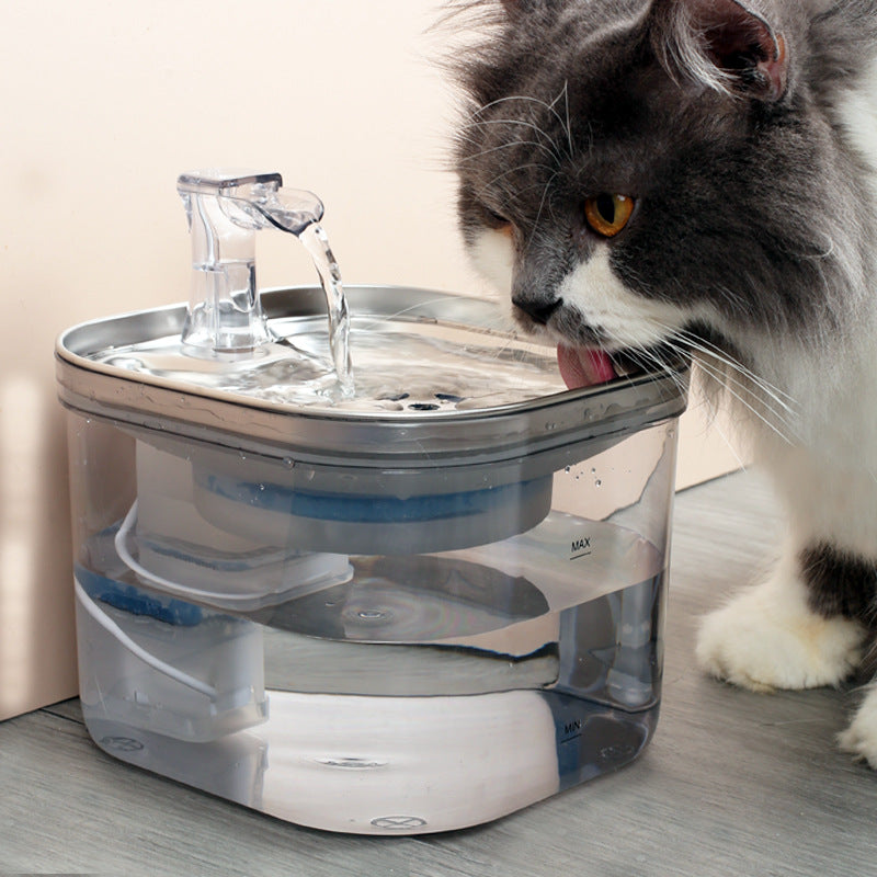 Premium Stainless Steel Pet Water Dispenser