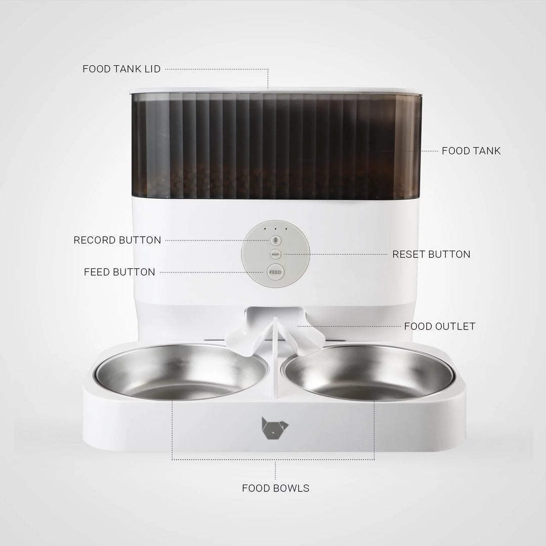 Instachew Purechew Double Automatic Pet Feeder, Two-Way Splitter and Double Bowls for Cats and Dogs