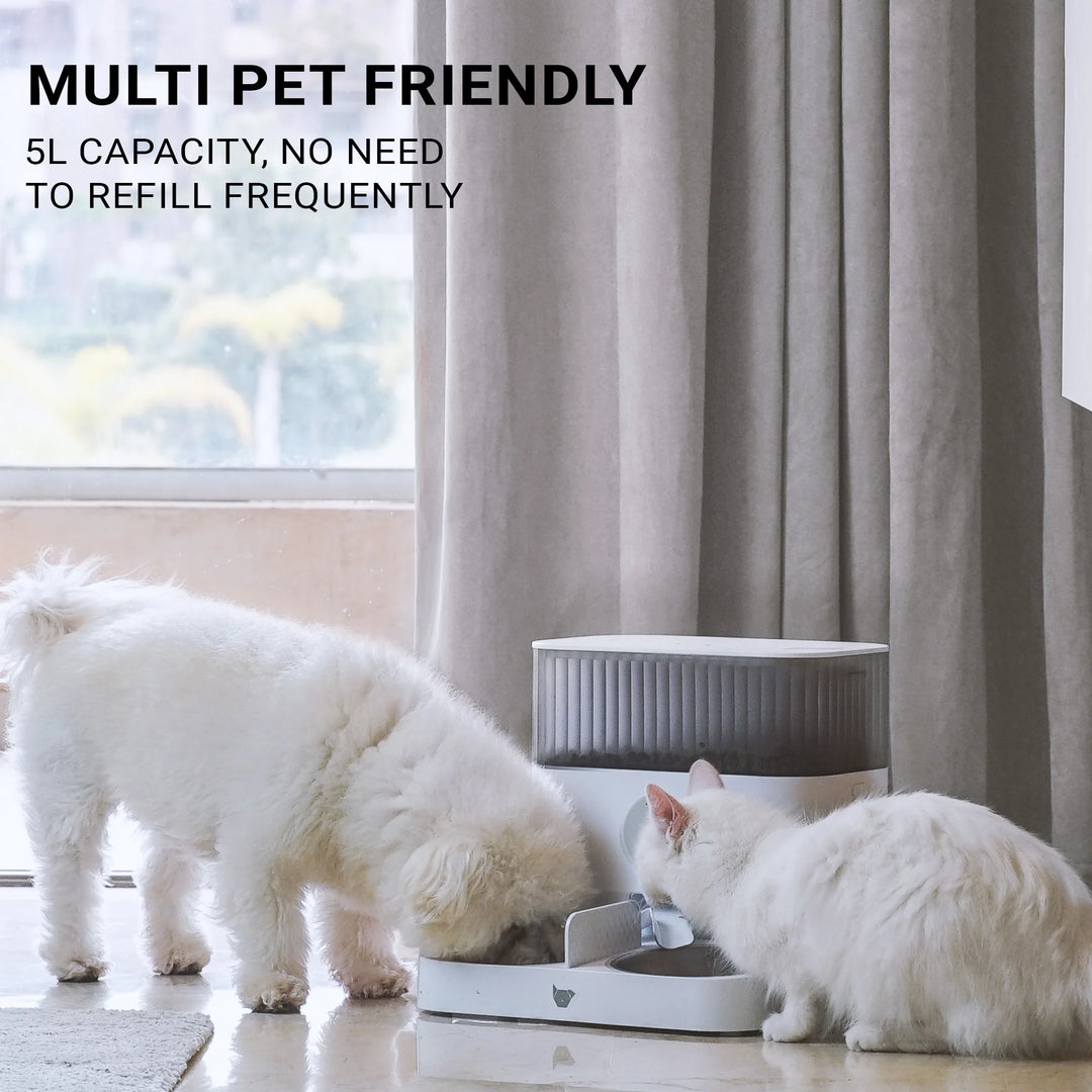 Instachew Purechew Double Automatic Pet Feeder, Two-Way Splitter and Double Bowls for Cats and Dogs