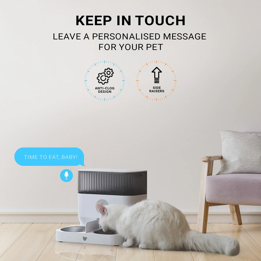 Instachew Purechew Double Automatic Pet Feeder, Two-Way Splitter and Double Bowls for Cats and Dogs