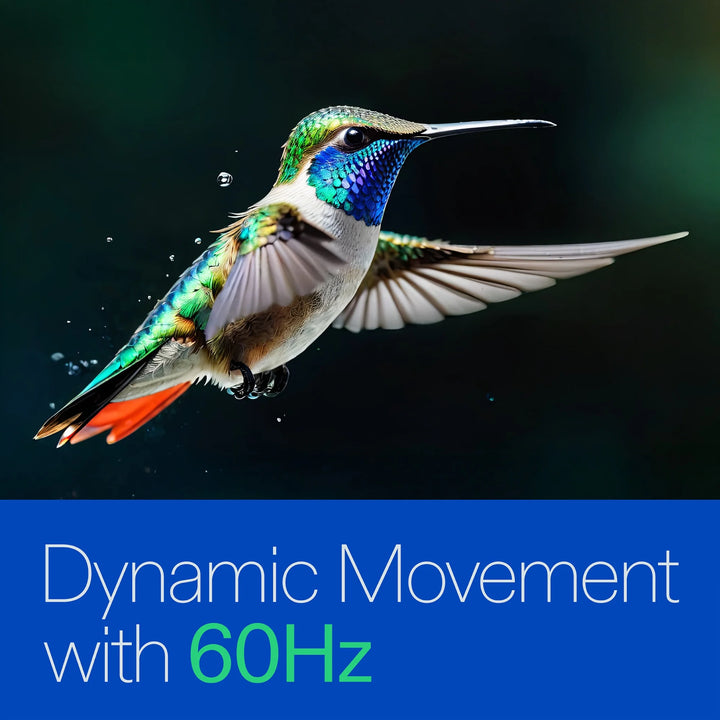 Onn 65” Class 4K UHD (2160P) LED Roku Smart Television HDR (100012587)